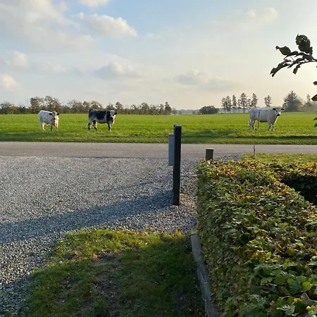 Bolding * Billund
