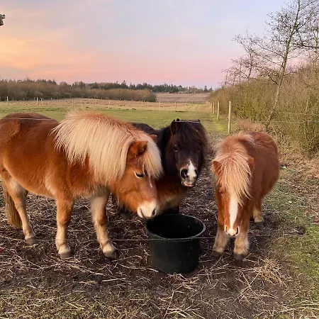 Bolding Appartamento *