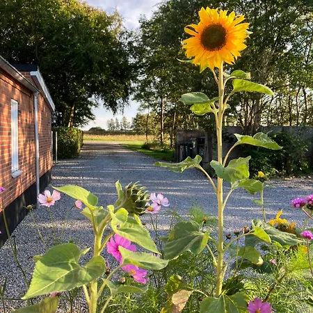 Apartmán Bolding Billund