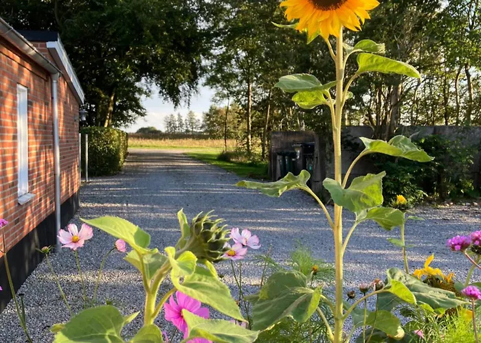 Lägenhet Bolding Billund